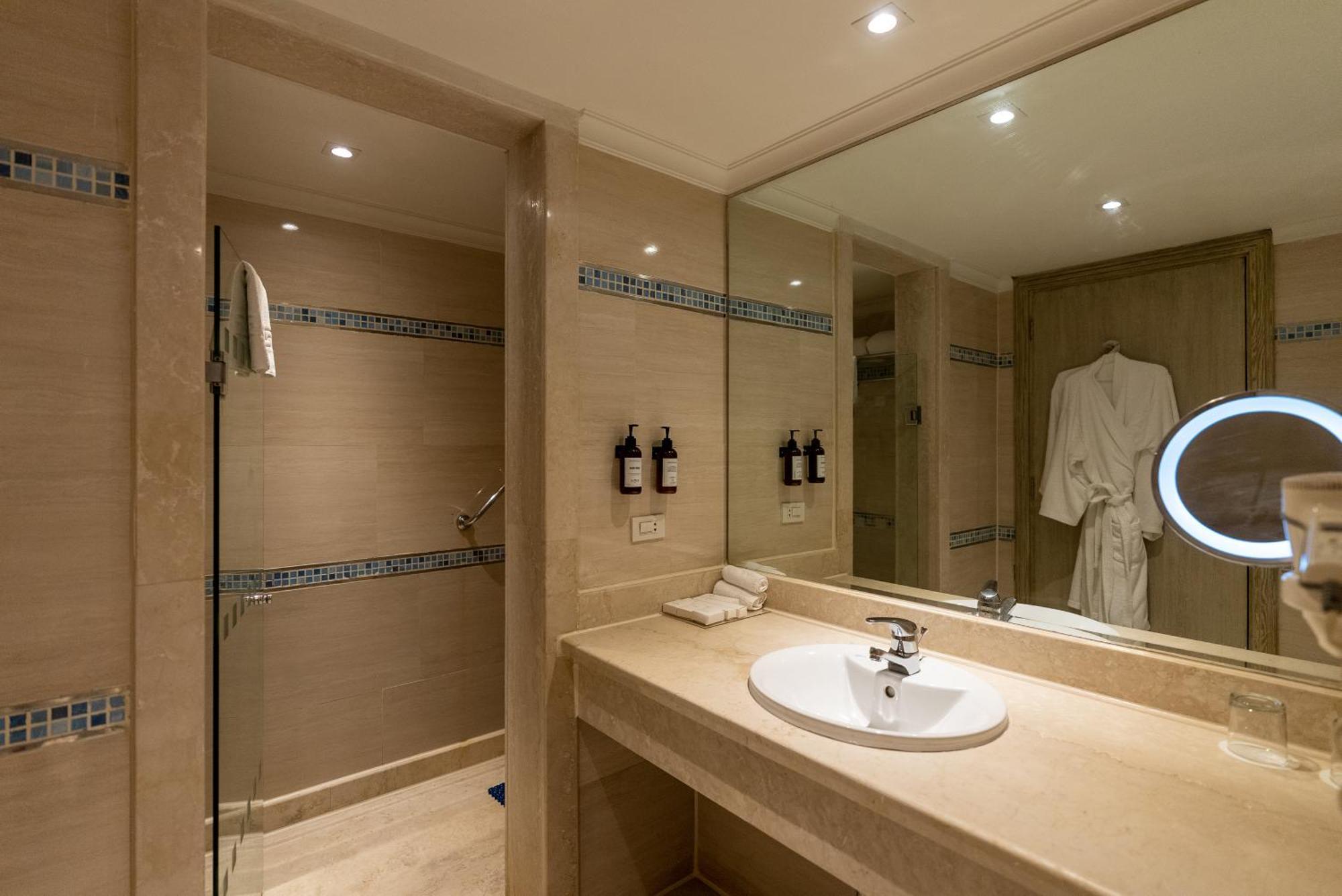 Deluxe Swim-Up Room